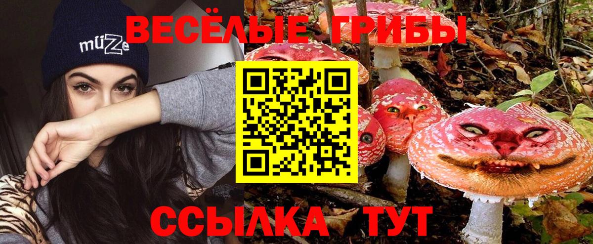 Изобильный  закладка  Вход с VPN  Псилоцибиновые грибы MAGIC MUSHROOMS  Псилоцибиновые грибы Magic Shrooms 
