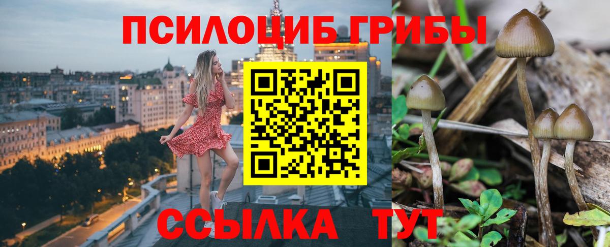 Псилоцибиновые грибы MAGIC MUSHROOMS Изобильный