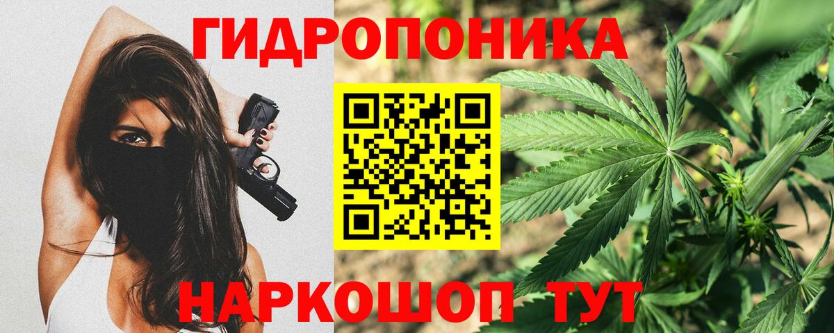 Шишки марихуана Amnesia  Вход с VPN  Изобильный  МАРИХУАНА SATIVA & INDICA 